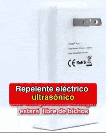 Producto