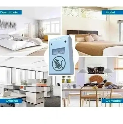 Encabezado